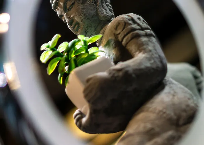 Sl'otel - Stadthotel - Voll Klimatisiert 3*